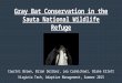Gray Bat Conservation Plan at Sauta NWR_PPT_NR5884Summer2015_