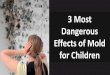 3 Most Dangerous Effects of Mold For Children