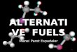 Alternative  Fuels