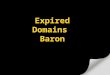 Expired domains baron