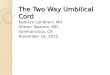 Two way umbilical cord