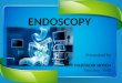 Endoscopy Muktadir