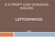 Leptospirose 1 A