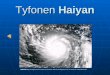 Tyfonen haiyan