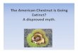 Kutztown 2016 american chestnut presentation
