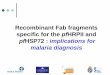 Recombinant Fab fragments specific for the pfHRPII and pfHSP72 : implications for malaria diagnosis