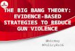 The Big Bang Theory: Evidence-Based Strategies to Reduce Gun Violence