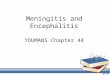 044 Meningitis and encephalitis