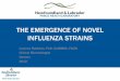 Emergence of Novel Influenza Strains