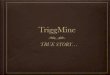 TriggMine: TRUE STORY