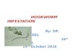 Hookworm Infestation