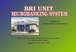 Bank Rakyat Indonesia (BRI) - "Micro Credit Financing and Poverty 