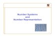 Number Systems and Number Representation