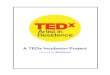 TEDx Artist in Residence Program