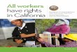 All Workers in California Have Rights