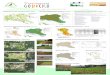 Stanje kartiranja habitatnih tipov 2003 Kvalifikacijski habitatni tipi in 