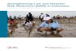 Strengthening Law and Disaster Risk Reduction (DRR) in Indonesia