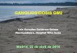 GANGLIOSIDOSIS GM2