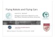 Flying Robots and Flying Cars