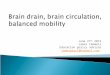 Brain drain, brain circulation, balanced mobility