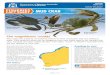 Fisheries fact sheet - Mud crab