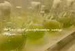 Water self purification using Algae…… Water self purification using 