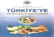 Türkiye'ye Özgü Beslenme Rehberi