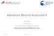 Jan Rice - 'Advanced wound assessment