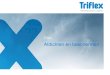 2017 Triflex Corporate