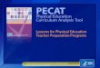 PECAT: Physical Education Curriculum Analysis Tool