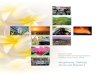 Highway Safety Annual Report