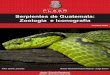 Serpientes de Guatemala: Zoología e Iconografía
