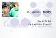 Vascular spinal rarity