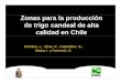 Zonas para la producción de trigo candeal de alta calidad en Chile