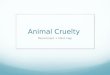 Animal cruelty moodbaord+mindmap