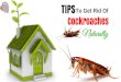 How To Get Rid Of Roaches Naturally?