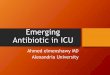 Emerging antibiotics in the ICU
