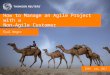 How to manage an agile project with a non agile customer