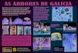 Exposición As árbores de Galicia (Candea) 1-13