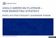 Anglo American Platinum Marketing Presentation