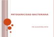 Patogenicidad bacteriana ,epiemiologia de cada una