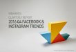 2016 Q4 Facebook & Instagram trends