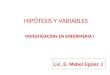 Hipotesis y variables 2012