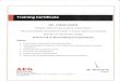 Certificate of UPS Handling & Operations by AEG