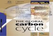 The Global carbon cycle; UNESCO-SCOPE policy briefs; Vol.:2; 2006