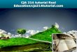 Cja 214 tutorial real education / cja214tutorial.com
