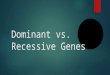 Dominant vs Recessive Genes