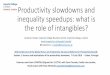 Productivity Slowdowns and Inequality Speedups: What is the Role of Intangibles?