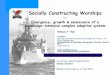 Socially Constructing Warships — Emergence, growth & senescence of a knowledge-intensive complex adaptive system