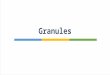 Granules - Pharmaceutics
